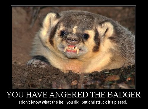 Pissed off badger