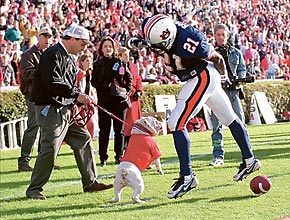 UGA vs. Auburn Receiver