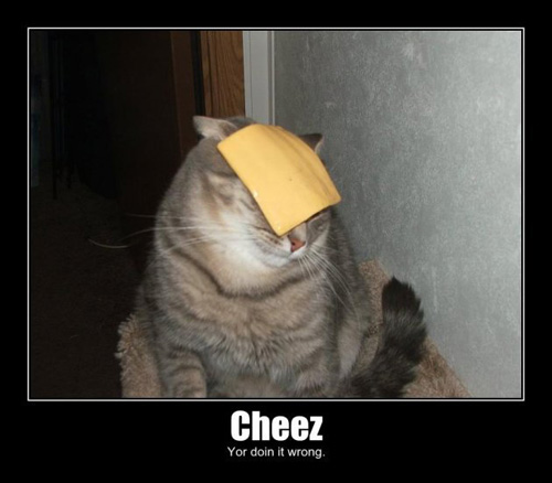 Cheez Cat