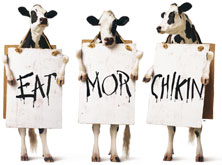 Eat Mor Chikin