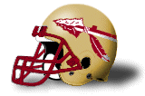 Florida State helmet