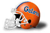 Florida helmet