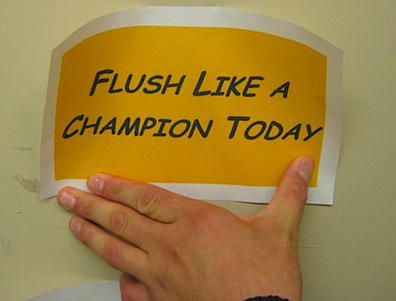Flush Like a Champion