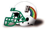 Hawaii Helmet