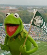 Kermit MSU Flag