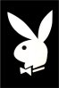 Playboy Bunny
