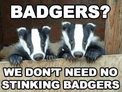 Stinkin' Badgers