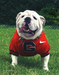 Uga VII