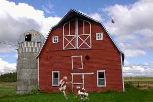 Wide Right Barn